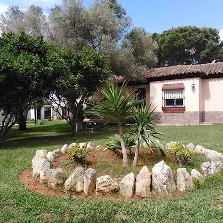 Chalet En La Barrosa, Piscina+Bbq+Grifo De Cerveza Chiclana de la Frontera Exteriör bild